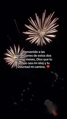 #navidad #nochebuena #añonuevo #merrychristmas #fyp