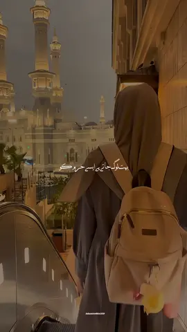 Kaaba dekha de mola🕋#unfreezemyaccount #tik_tok #naatsharif #viral #islamiceditz559 