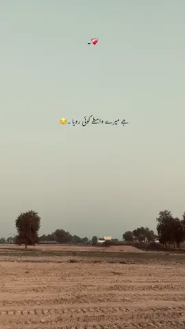 اے حقیقت اے 💯❤️ #fyp #foryoupage #punjabi #poetry #unfrezzmyaccount 