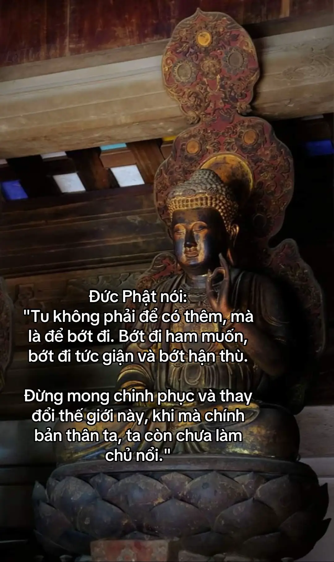 #hocphatmoingay #hocphat #chungtacanchualanh 