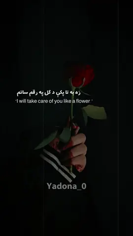 🥀🖤 #fyp #fy #poetry #pashtopoetry #pashtoshayari 