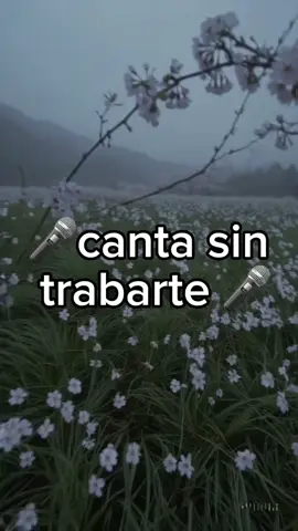 Hoy 2 de noviembre 🕊️#yoyeextrañare #tercercielo #parati #cantasintrabarte #lyrics 