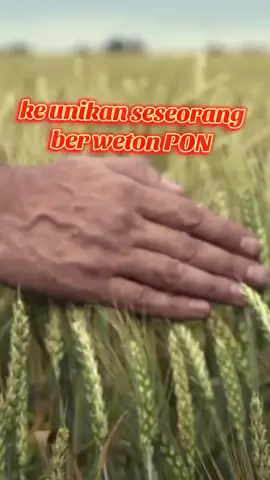 weton pon #jawapride #wetonjawa #wetonpon #jawabarat #jawatimur 