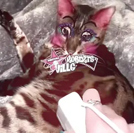 love this divacat ate tags:#meme #fyp #divaedit #diva #finalgirl 