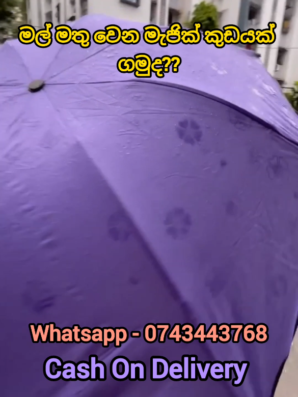 🛑 විශේෂ මිල සහිතව රු. 1450/=  🛑 ලංකාව වටේම ඩිලිවරි 🛑 භාණ්ඩය ලැබුනට පස්සෙ මුදල් ගෙවිය හැක  🛑ඇනවුම් සදහා අපව අමතන්න.👇 0743443768 - whatsapp  #umbrella #fashion #fyp #onlineshopping #trending 