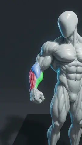 One dumbbell. Four moves. Complete forearm growth. 💪 Go get those forearm gains — with @fitonomy.coach  #fitonomy #fitonomycoach #forearmworkout #armtraining #gripstrength 