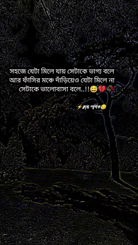 সহজে যেটা মিলে সেটাকে ভাগ্য বলে আর ফাঁসির মঞ্চে দাঁড়িয়েও যেটা মিলে না সেটাকে ভালোবাসা বলে💔#সৌদি_প্রবাসী🇧🇩💓🇸🇦 #foryou #foryoupage #unfreezemyacount #creatorsearchinsights 