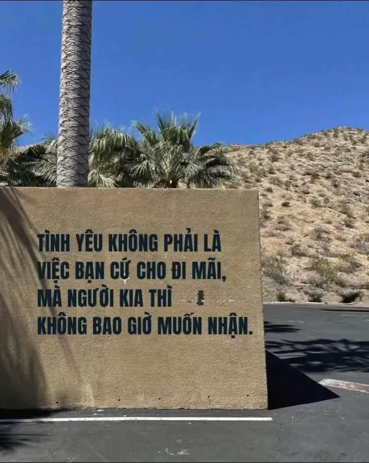 Em cười rất nhiều nhưng chưa bao giờ được hạnh phúc trọn vẹn. Em nói rất nhiều nhưng chưa bao giờ nói về trái tim của mình.  #tamtrang #tinhyeu #sad 