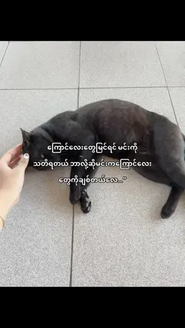 #fyp #thankb4youdo #kyawkhantnine #fyp 
