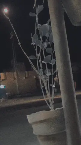 #😭😭😭😭 #🥰💔💔🦋👌👌hombres #💔💔🤔🤔🥰🥰 😭💔💔🥺🥺#🥺🥺🥺 