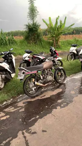 info ngopi bos #glkotakprobolinggo #bokongkotak_offical🚀🚀 #foryoupage #fyp 