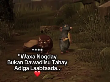 💐😢♥️|| #rk0.45 #fyp #FYP 