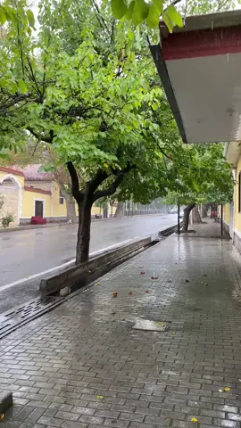 #şəmkir##keşfetbeniöneçıkar #keşfetteyizzz 