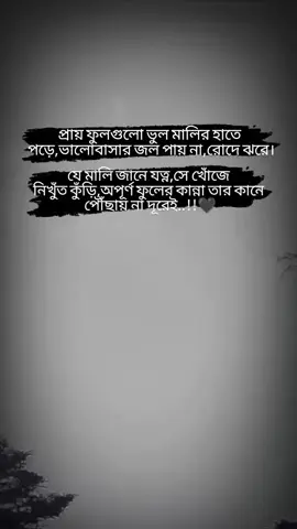 ফুলগুলো ভুল মালির হাতে পড়ে, ভালোবাসার জল পায় না, রোদে ঝরে।#foryou #fouryourpage #tiktok #vaira #ইনশাআল্লাহ_যাবে_foryou_তে 