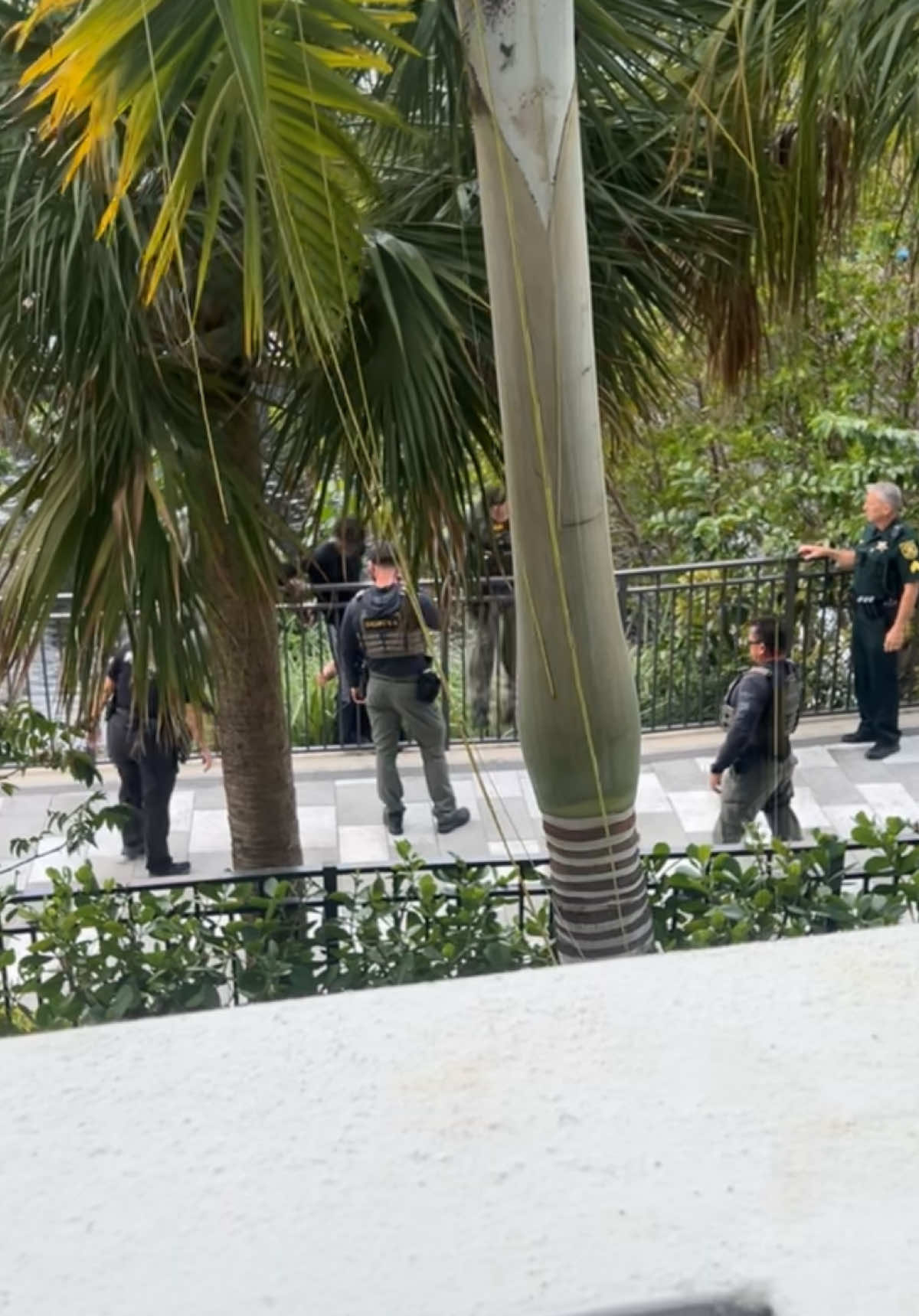 Front row seats to some unexpected action… 5 stars on GTA right outside our apartment #florida #fortlauderdale #floridaman #cops #helicopter 