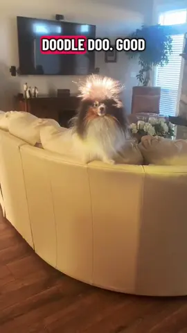 Happy Sunday! #fypシ #trending #viral #fyp 