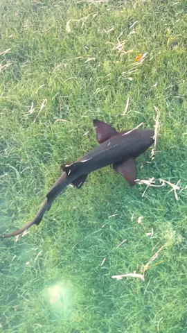 Gliding thru the weekend like 😎