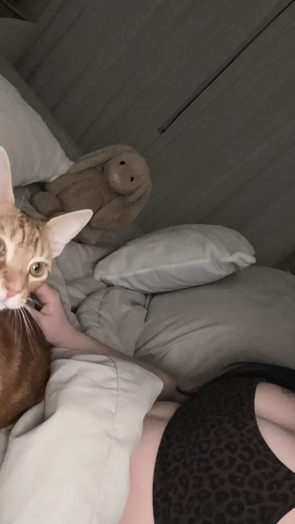 #october #fyp #ive #foryou #explore 