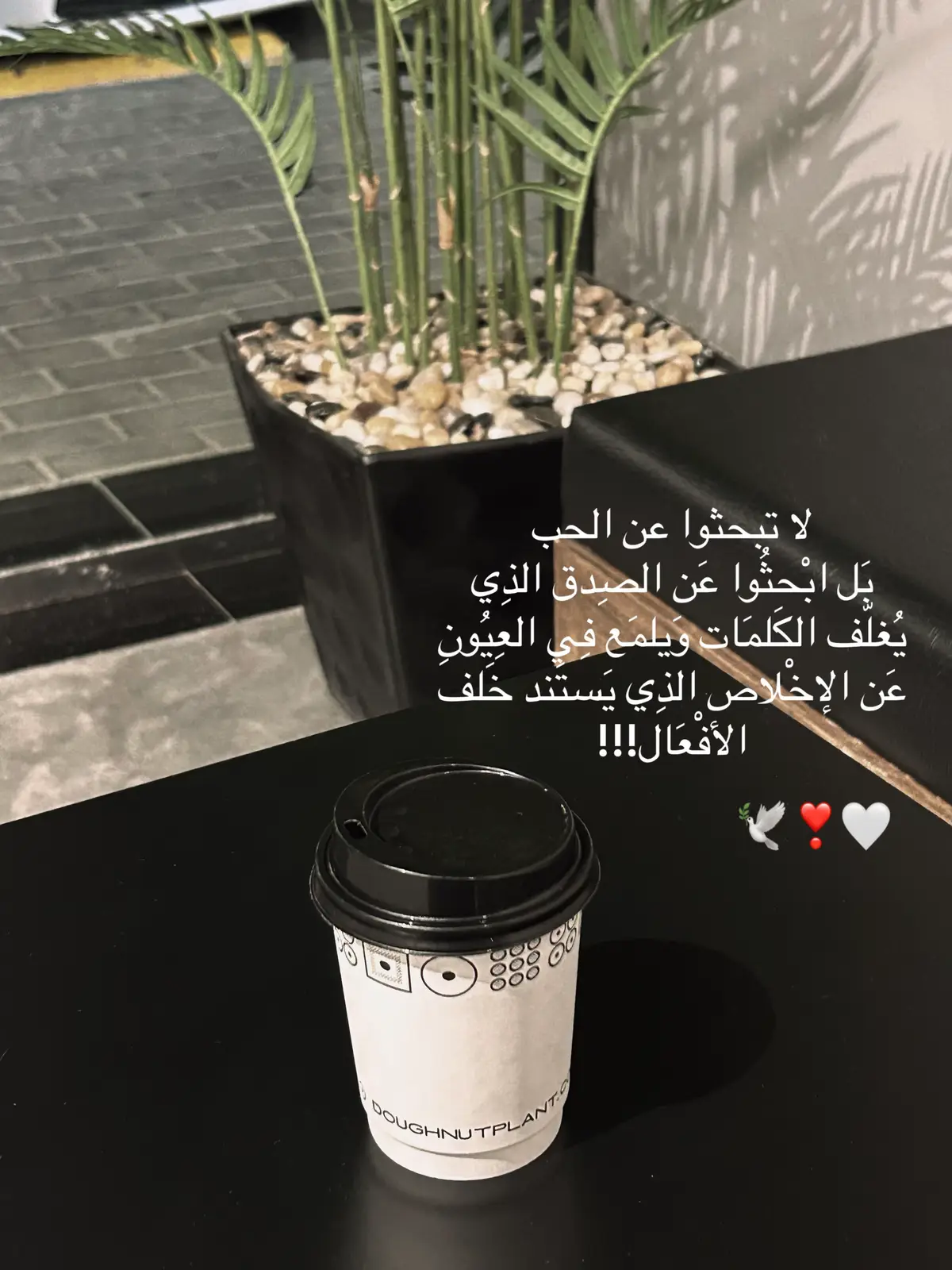 #❣️🕊️🤍الرياض #اكسبلور #فعلا👍🏻❤️❤️ 