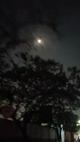 #CapCut mumpung masih ada...#fyppppppppppppppppppppppp #expresikandengancapcut #fyp #CapCut 