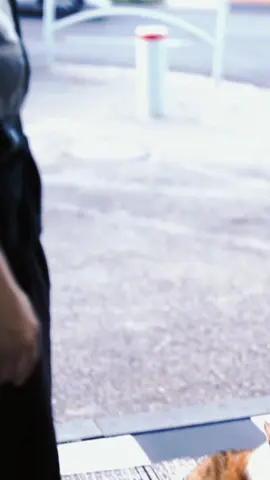 #حيفا #عالرصيف 