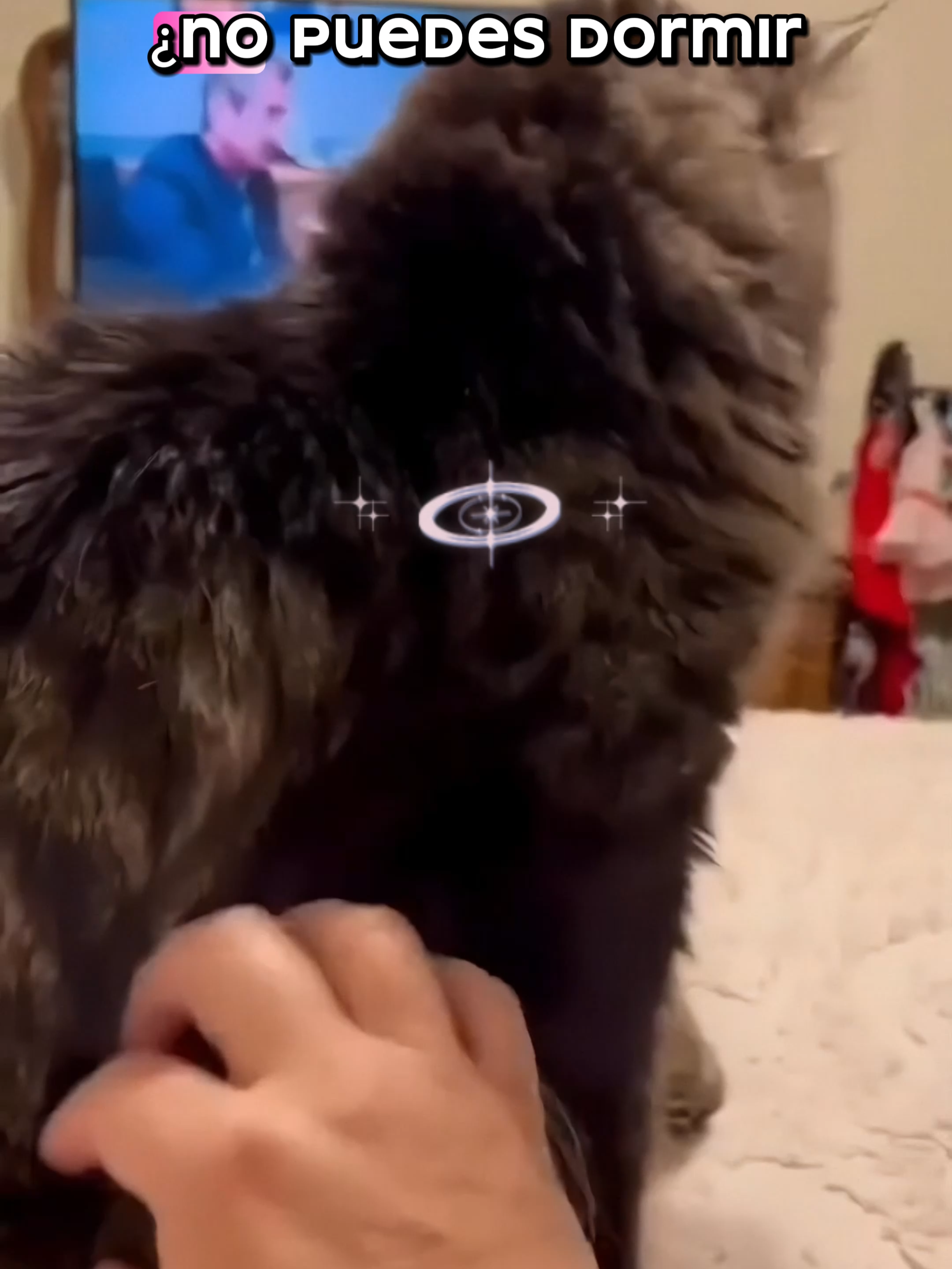 😮‍💨 ¿Cansado de no poder dormir bien o de los ronquidos molestos? ¡Tenemos la solución! 🌙 Nuestras tiras nasales abren suavemente tus fosas nasales para mejorar la respiración y ayudarte a dormir mejor desde la primera noche. Olvídate de los ronquidos, el cansancio y las noches incómodas 😴✨ Fáciles de usar, cómodas y efectivas — ¡notarás la diferencia al instante! 👉 Consíguelas ahora en nuestra tienda 💫 🔗 Link en la bio #SueñoProfundo #RespiraMejor #TirasNasales #DescansoTotal  #Bienestar