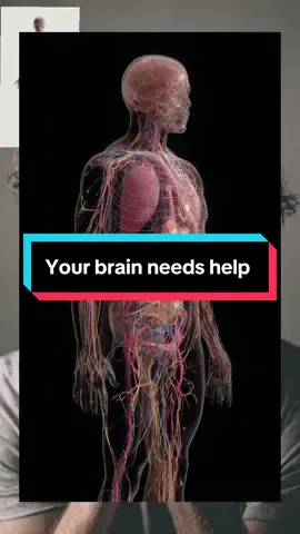 Your brain needs help #phytoscience #trendingvideo #goodhealth #mindset #goodnews 
