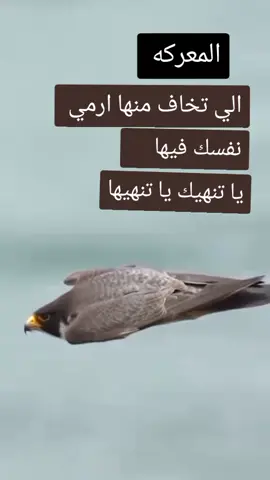 #محمد بيه الهوارررري 