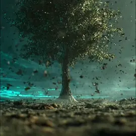 Did you know that wood is the rarest material in the universe? #space #Science #wood #rarest #planet 