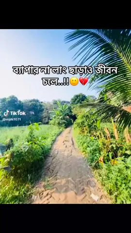 #creatorsearchinsights #লাং #সখেরツviral_❤ #foryou 