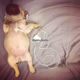 #recommendations #рекомендации #щп #щитпост #onlyone #физика #физикадерьмо 