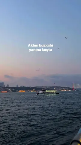 Aklım buz gibi yanına koştu🤍 #viraltiktok #fyppppppppppppppppppppppp #öneçıkar #fypage #capcutamor @Kenan Doğulu 