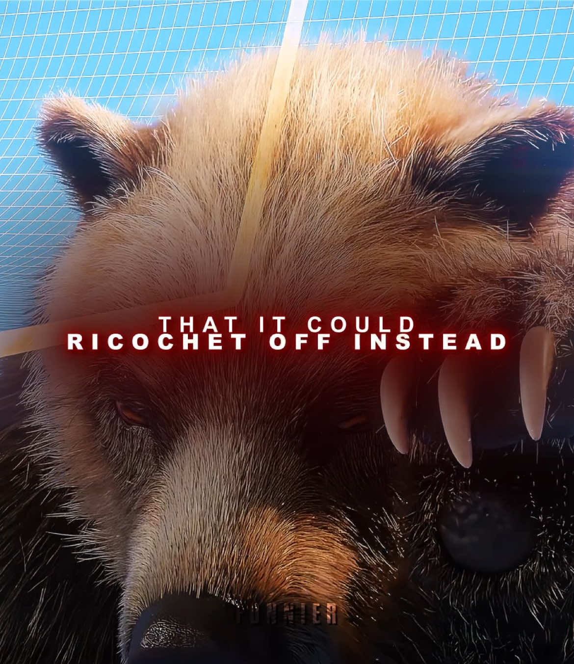 New fear unlocked #edit #bear #animaledit #fyp #viral