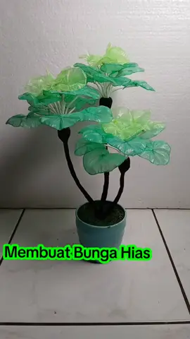 Tanaman Hias mudah #Tanaman #plastik #Murah 