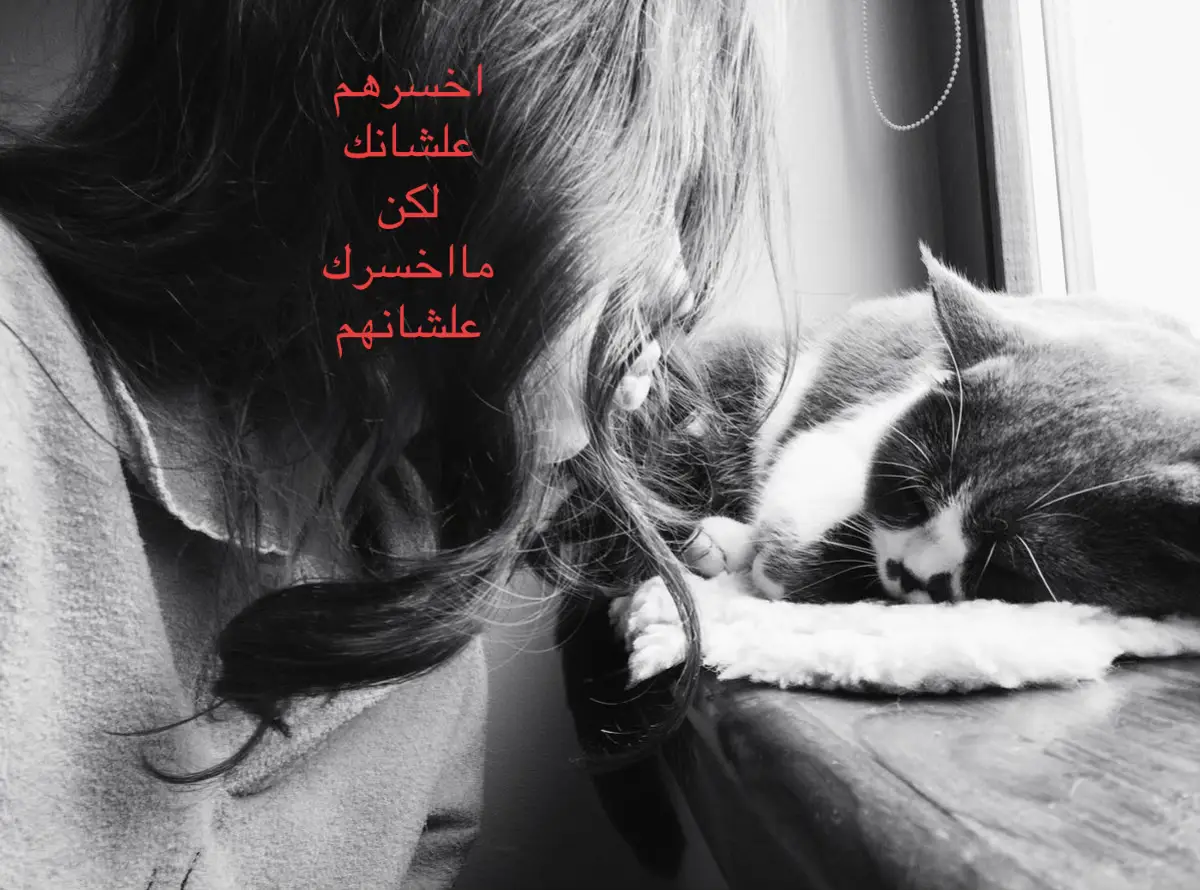 #اكسبلورexplore #S #B #tiktok #اكسبلوررر 