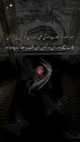 Inshallah 🤲 #foryou #foryoupage #allfrindssupportplzz #sportmetiktokteamplz #underreviewproblem😣100kviews #tiktokunfreezemyaccount #viewsproblem💔😔