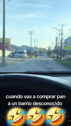 #videosgraciosos #humor #mascotas #domingo #perrostiktok #perrostiktokers #domingo #perros #borrachos #trabajo 