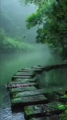 Anh vẫn bước dù ngoài trời mưa rất lâu-Mưa Buồn-full #fyp #bantinhca #nhactamtrang #nhachaymoingay 