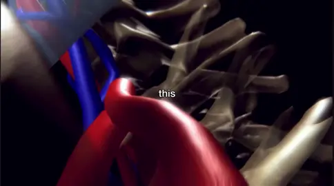 we love u white blood cells #taylorswift #tloas #medicine #biology #Science 