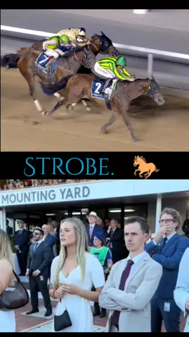 From last to first... This horse worte History 🐎#horselover🐴 #BritishRacing #HorseRacingUK #fyp #JockeyLife @MÃŁÎĶ ₩ÂQÅŘ2737 @Horse lover @beibheann 🩵 @𝓓𝓪𝓻𝓪𝓰𝓱 𝓗𝓪𝓷𝓵𝓸𝓷🇮🇪 @EZ equestrian @ℰ𝓋𝒾ℯ (harry’s version)💗 