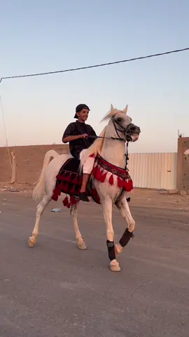 - ممطوح🥹♥️.#اكسبلورexplore #مطوح_تبوك #تبوك_الان #خيل_وخياله🐎 #explore 