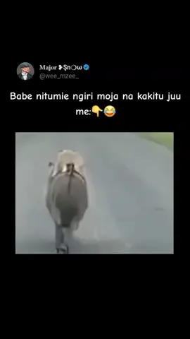 #memestiktok #memeske #memeskenya💯 