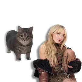 SABRINA CARPENTER - TEARS, but it's Oiiai Cat Remix (uiiai) #mashup #remix #cat #sabrinacarpenter #tears @Sabrina Carpenter 