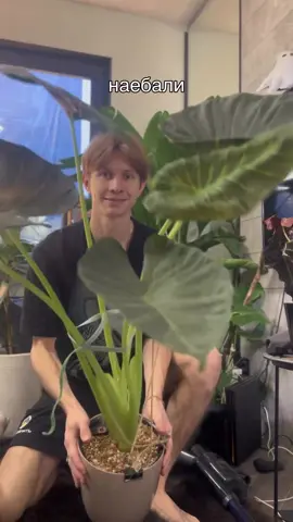 #рекомендации #ремонтдетской #ремонтсвоимируками #полиция #asmr 