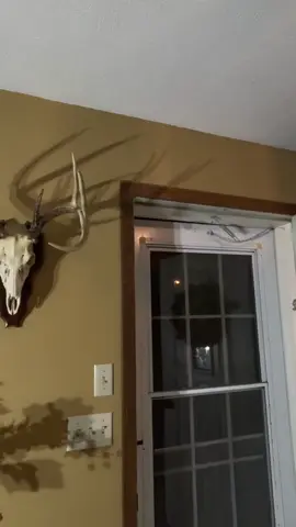 #onthisday #theguy #funny #couplescomedy 