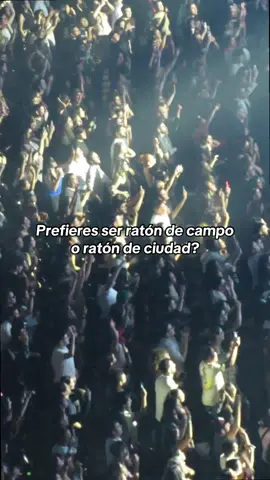 Ratón de campo o ratón de ciudad? #reze #denji #chainsawman #anime #2025 