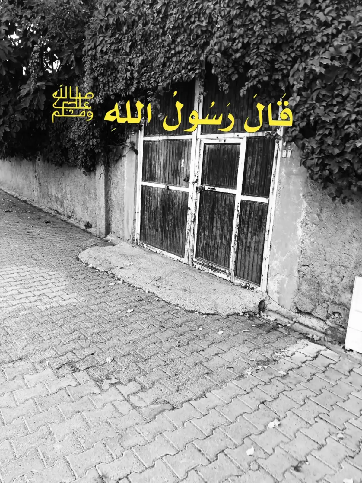 #النبي_محمد_صلى_الله_عليه_و_آله_وسلم #قال_رسول_الله_عليه_الصلاة_والسلام #fyp #قال_النبي_محمد_صلى_الله_عليه_وال_وسلم #الرسول 