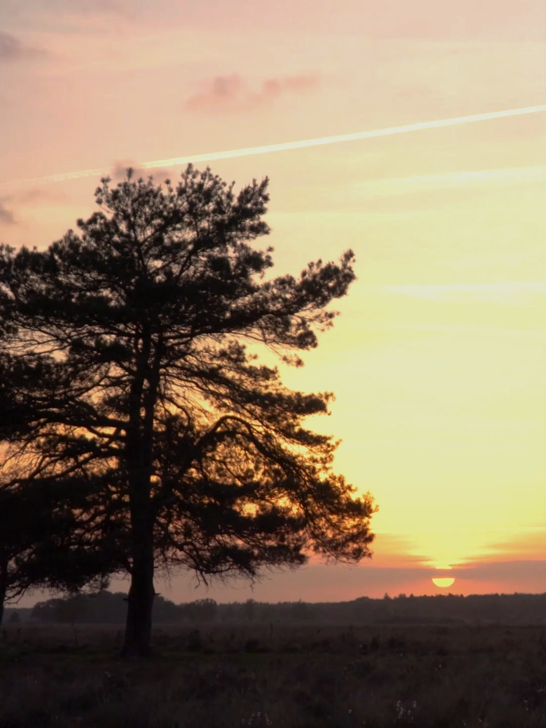 Herkes yaşattığını yaşasın. #alıntısözler #alıntı #hüzün #duygusal #tiktok #2025 #keşfett #kesfet #tiktokvideo #tiktokviral #viral #keşfetteyizzz #kitap #kesvet #söz #doğrusöz #quotes #keşfet #anlamlı #anlamlısözler