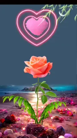 #assalamualaikum🙏  #bisnillahirrahmanirrahim  #doaterbaik  #aamiin🤲 