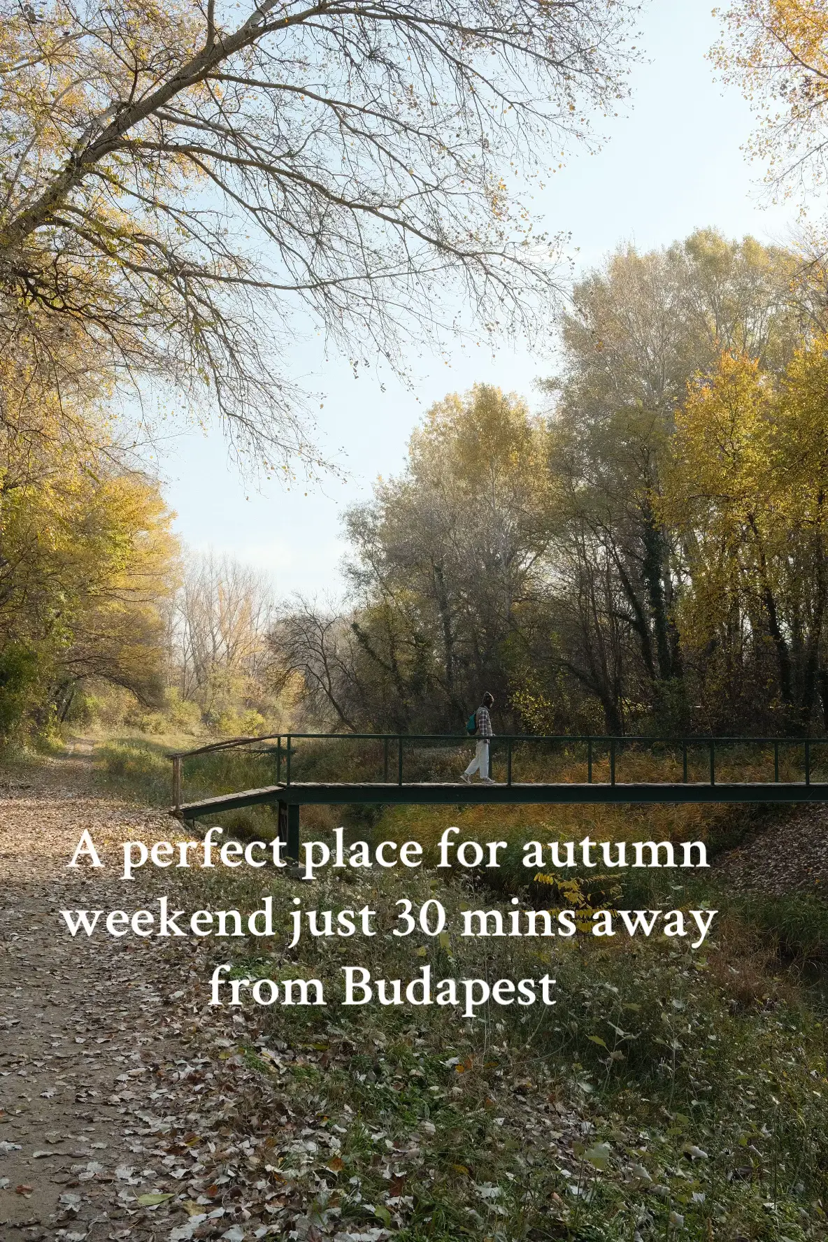 Fishing lake in Sződliget #hungary